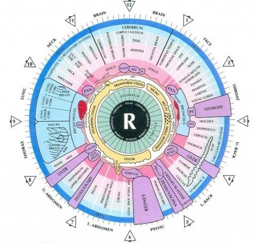 Iridology Right Eye Chart 1