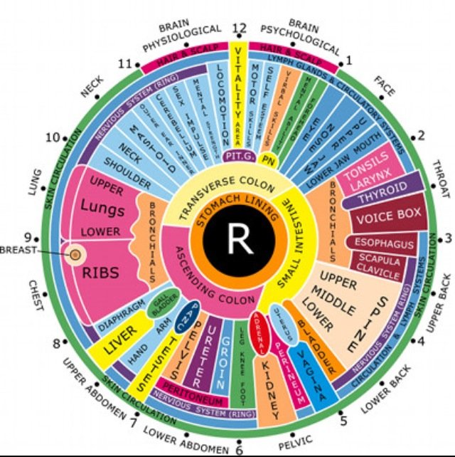 Iridology Right Eye Chart 3