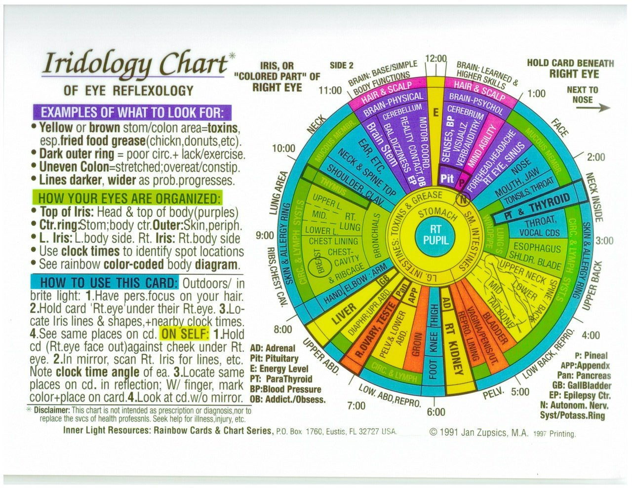 Iridology Right Eye Chart 5