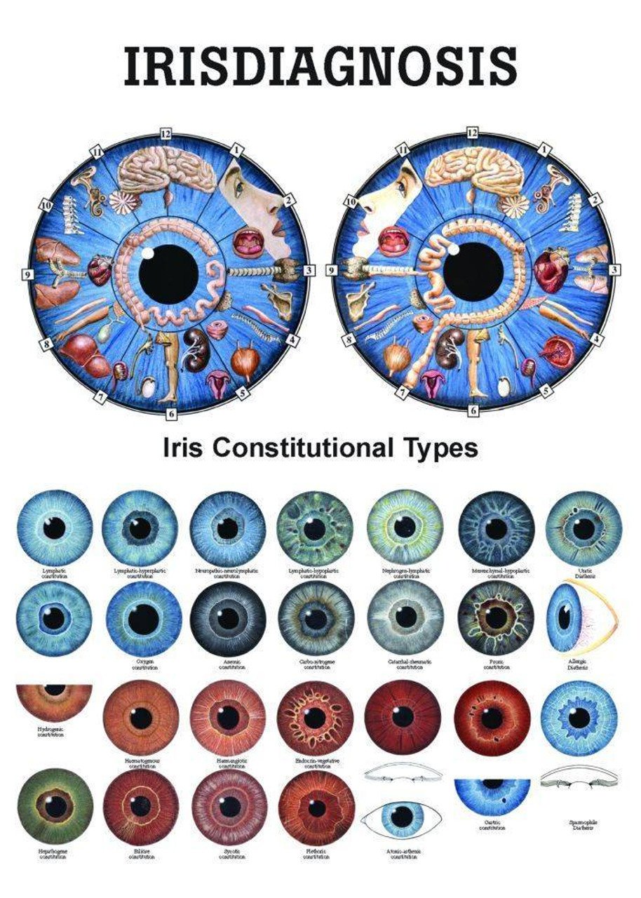 Iridology chart
