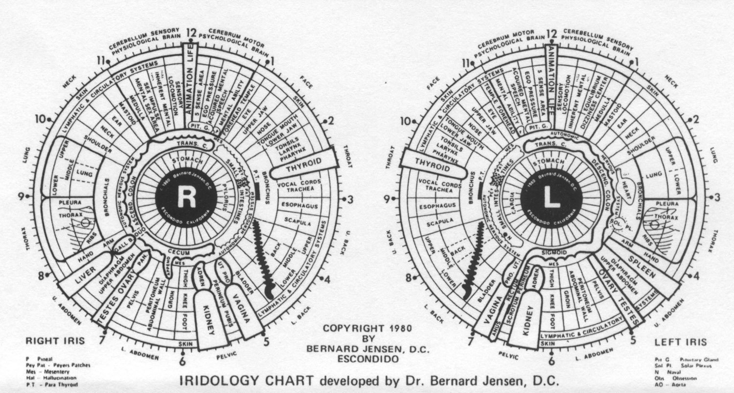 Iridology Chart History