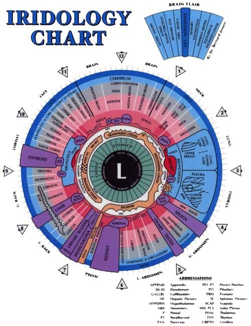 Left iridology chart 