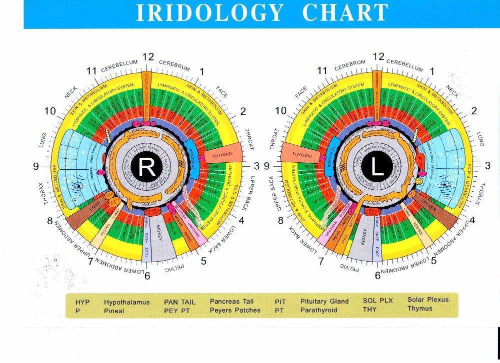 Iridology Map