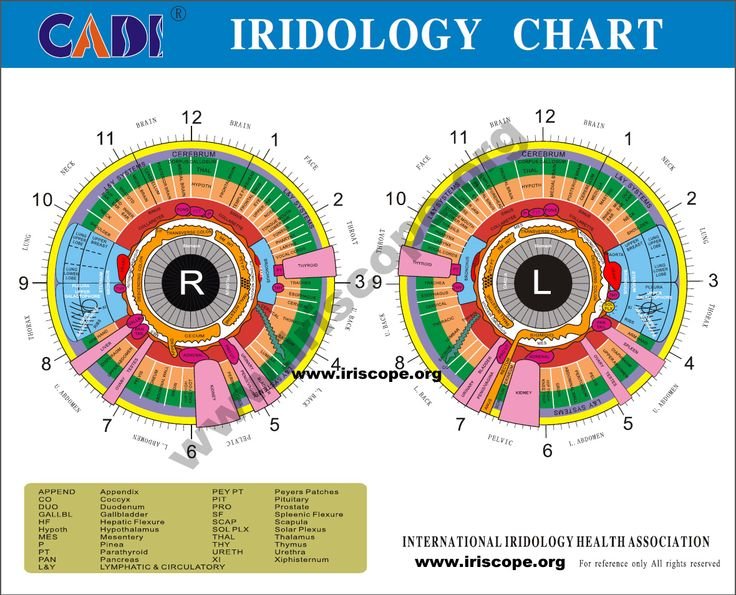 Iridology Map