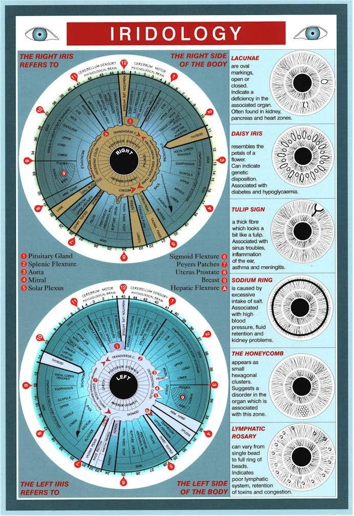 Natures Energies Iridology Chart 0