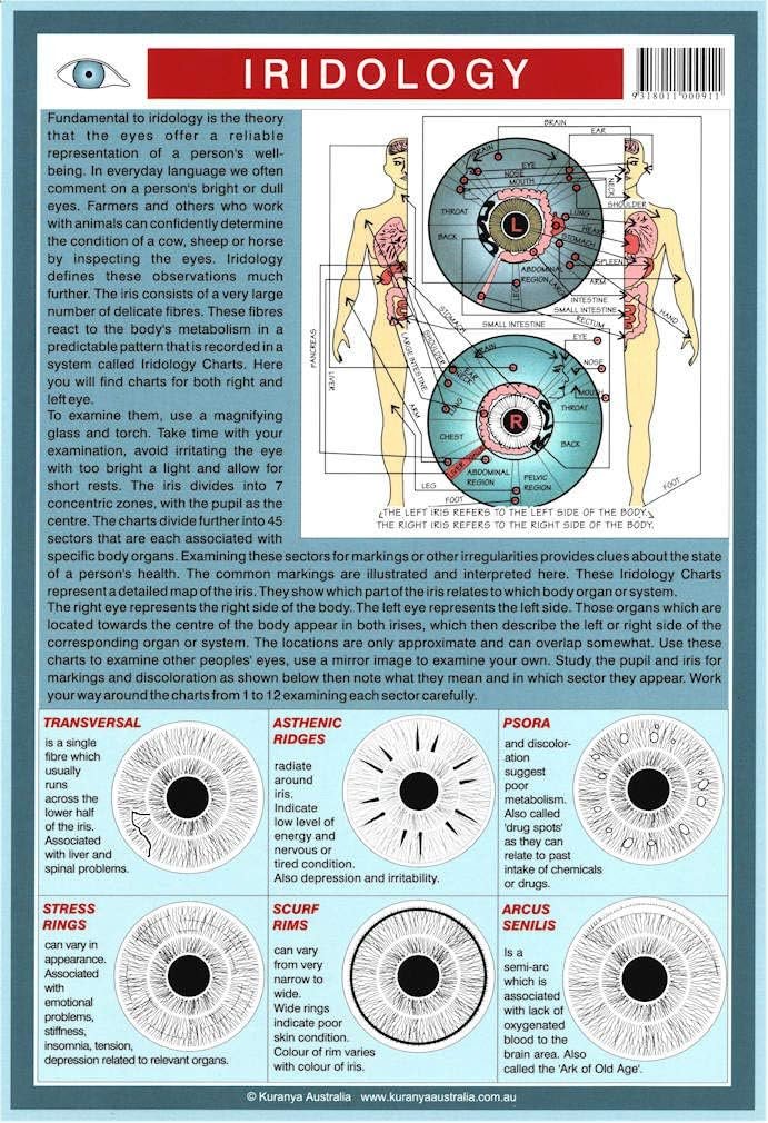 Natures Energies Iridology Chart 1
