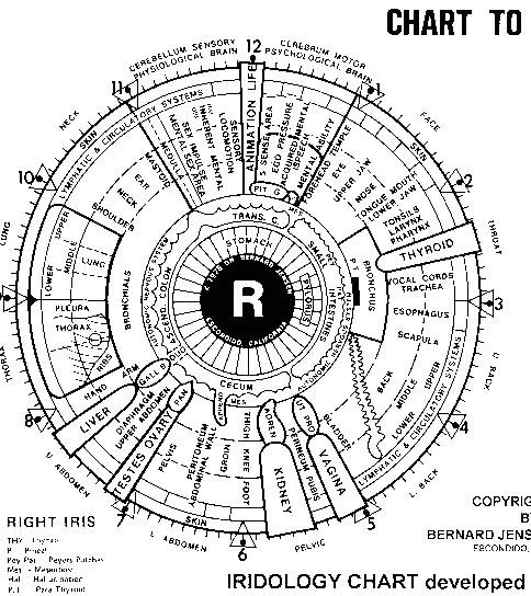 iridology Chart Left eye