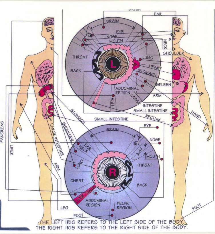 Herbal Iridologist Near Me