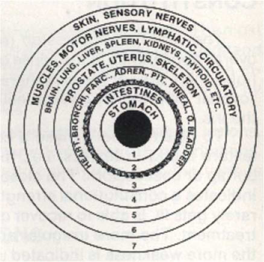 Iridology 3.6: iridology Skin Metabolism Ring