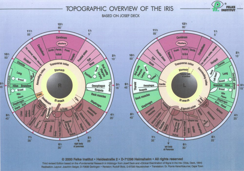Iiridology Chart