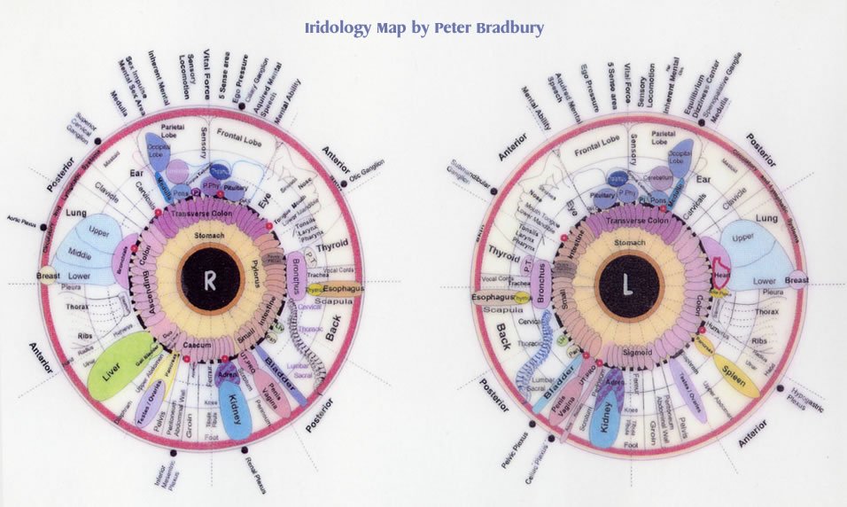 iridology diagnosis chart 10