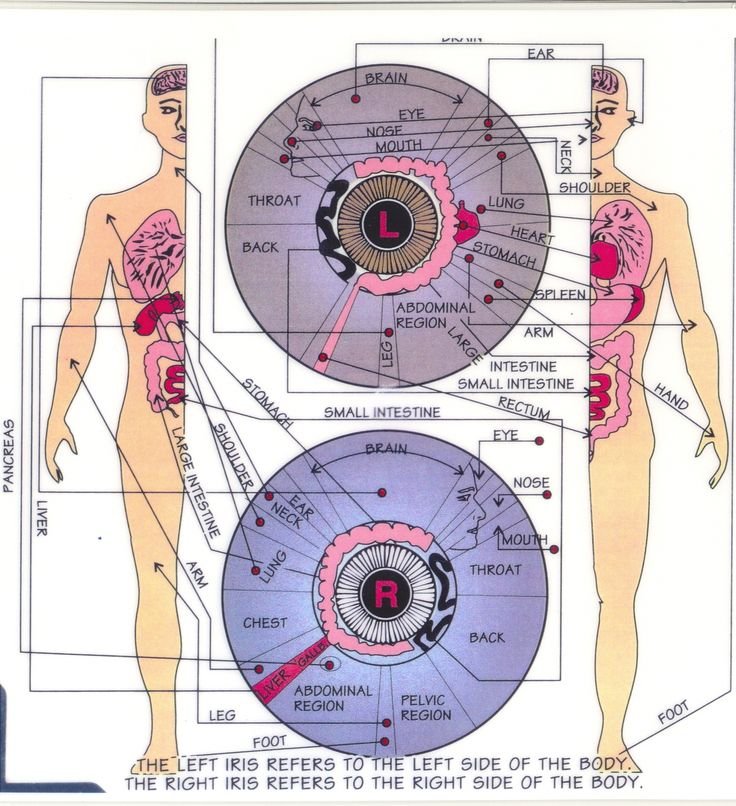 Iridology Chart