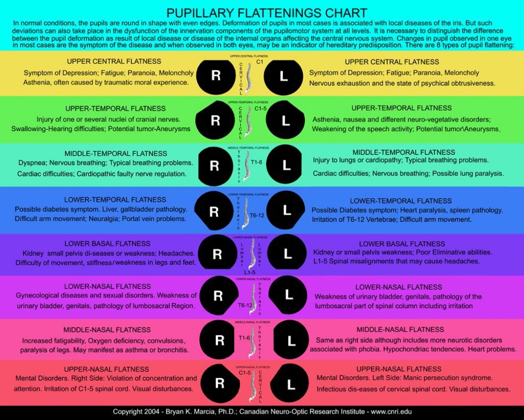Pupillary Flatten Chart iridology chart