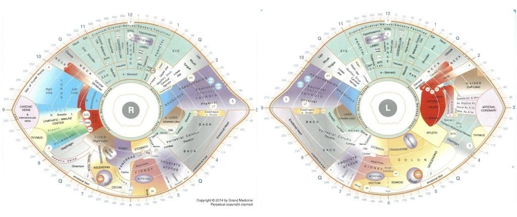 Sclerology iridology chart