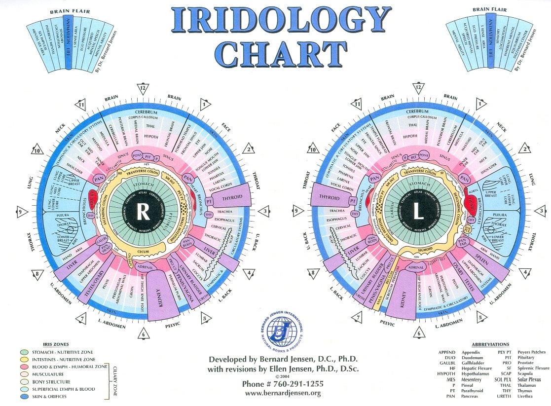 Bernard Jensen Iridology Chart