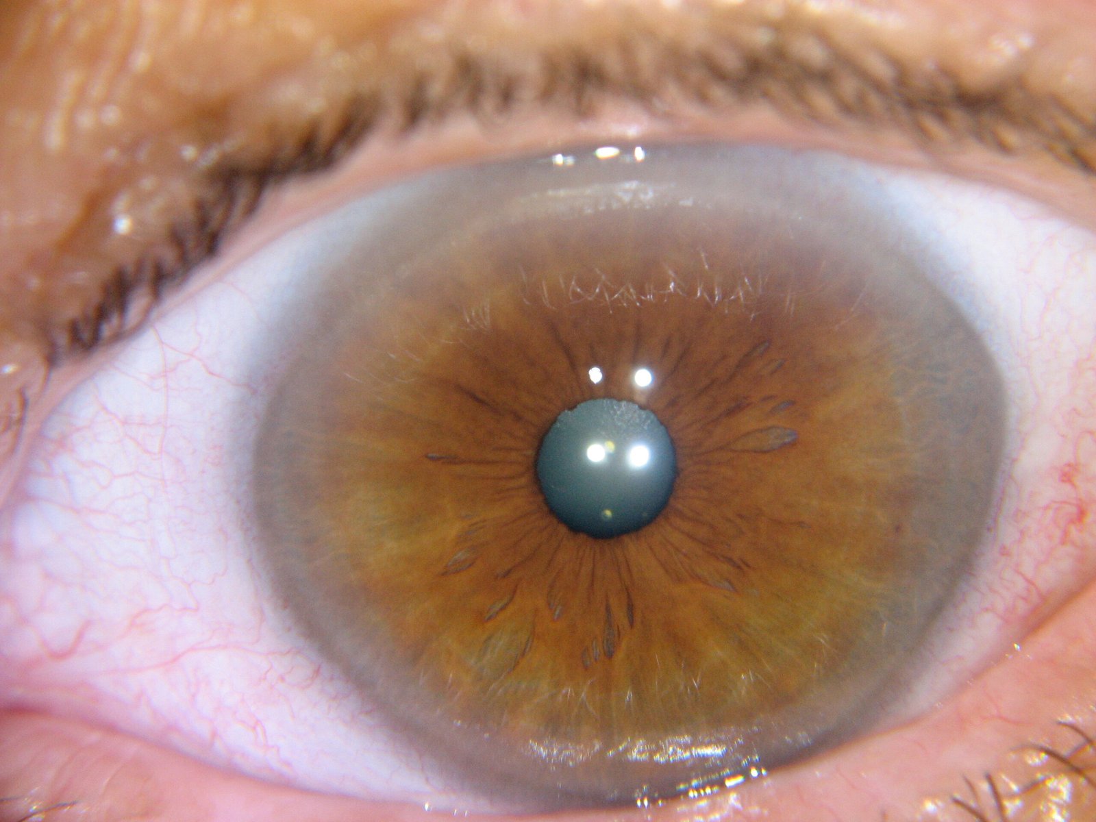 MAIKONG IRIDOLOGY CAMERA 1467 scaled