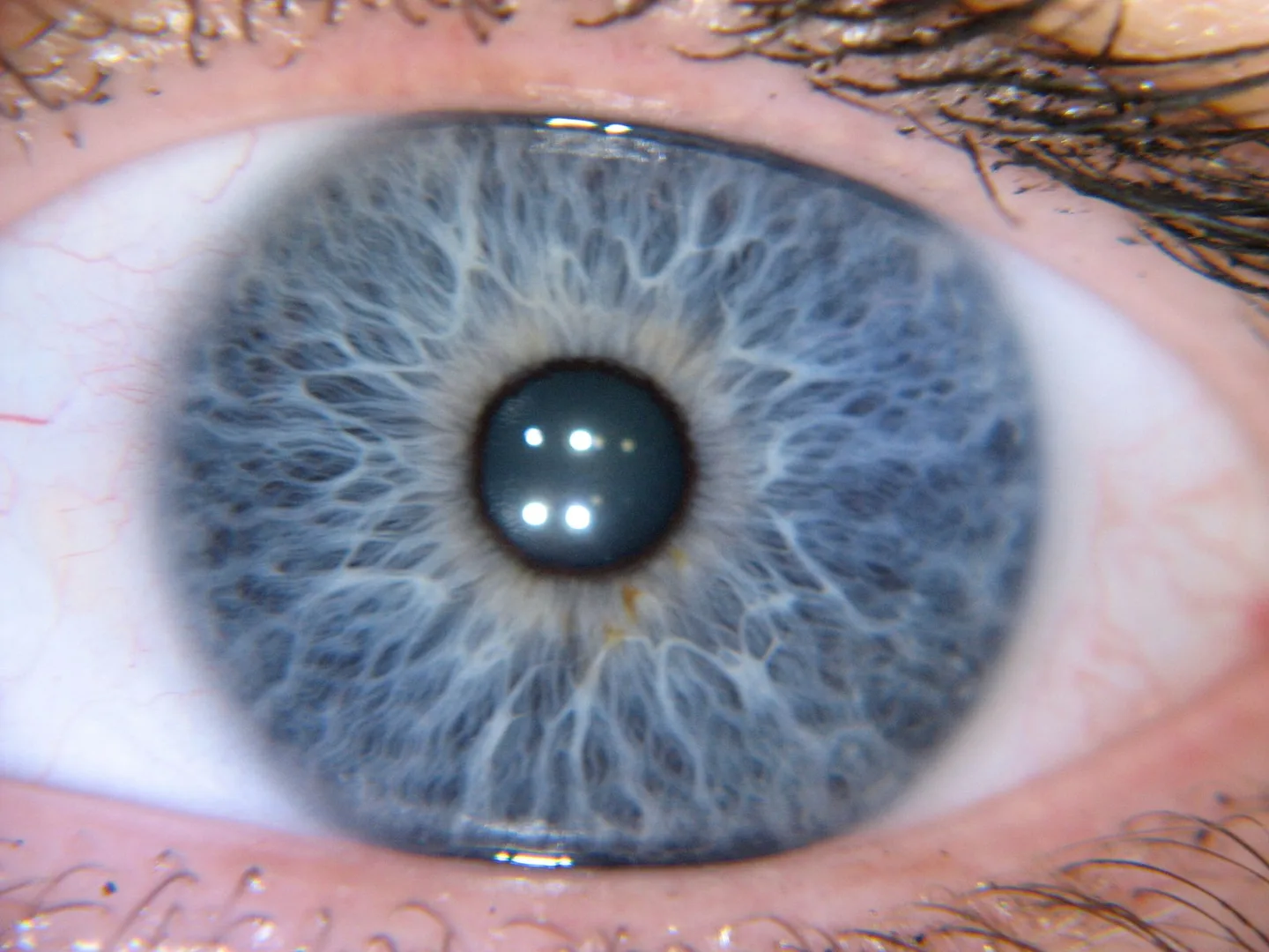 Classroom demonstration with iriscope