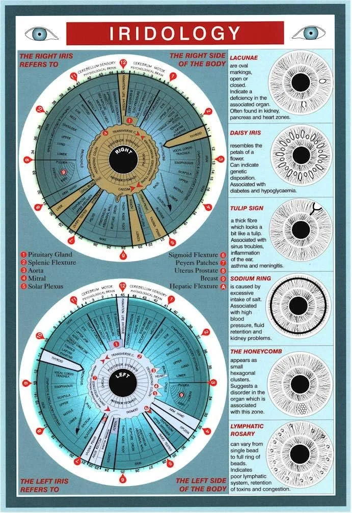 Where to find a useful free iridology course online — a practical guide for Australian private‑label health equipment brands — Natures Energies Iridology Chart 0.jpg
