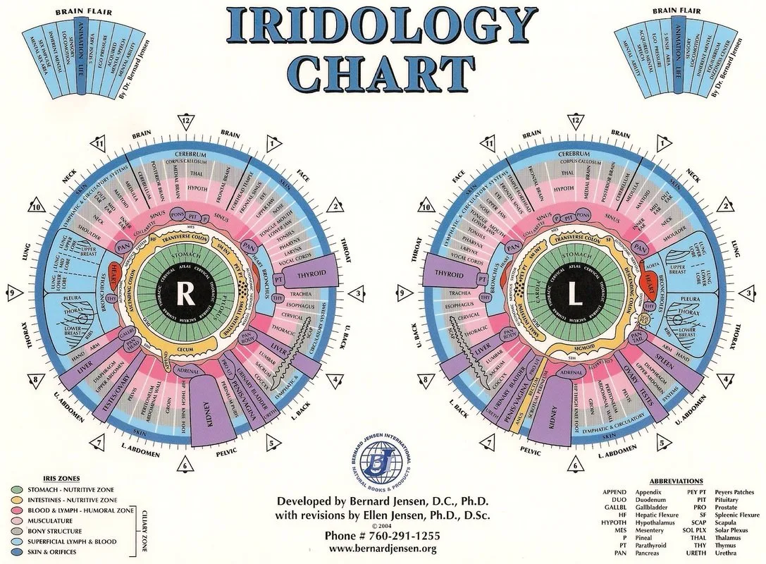 Who is “Reuben Schwartz, Kentucky”? A practical verification and lead‑opportunity guide for Australian OEM distributors — jensen iridology chart (1).jpg
