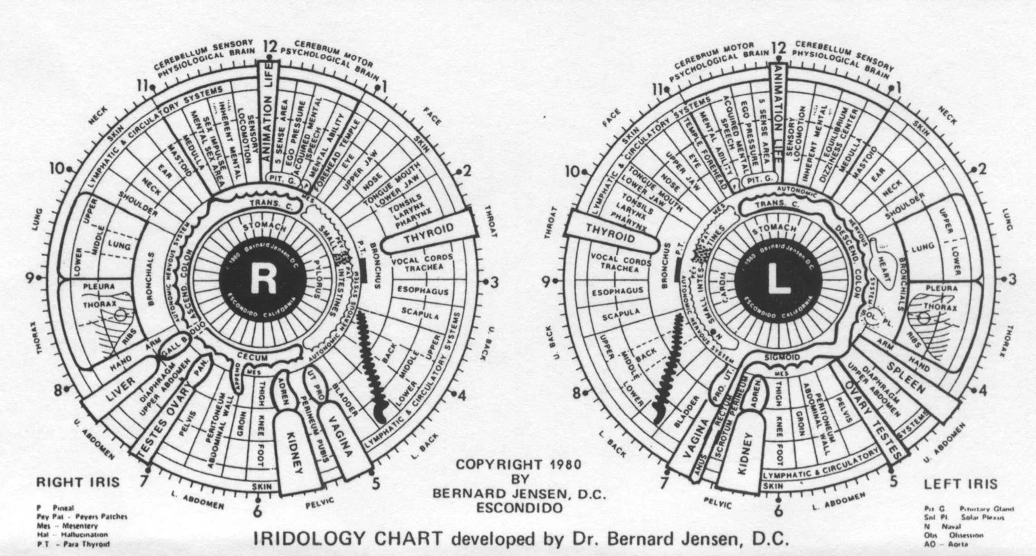 Who is “Reuben Schwartz, Kentucky”? A practical verification and lead‑opportunity guide for Australian OEM distributors — Mapa de Iridologia.jpg